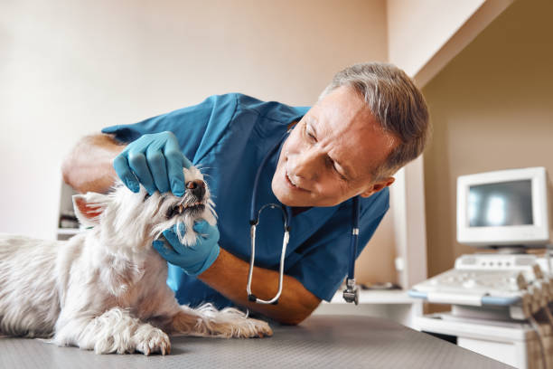 Best After-Hours Dental Trauma Care in Hopewell, VA
