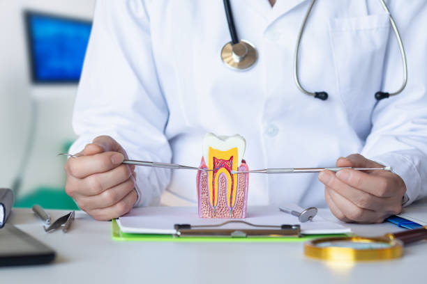 Best Emergency Denture Repair in Hopewell, VA